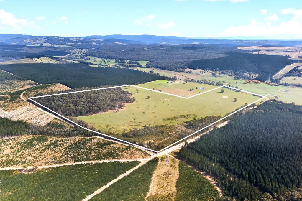 Maxfields Road, Flynns Creek, VIC 3844