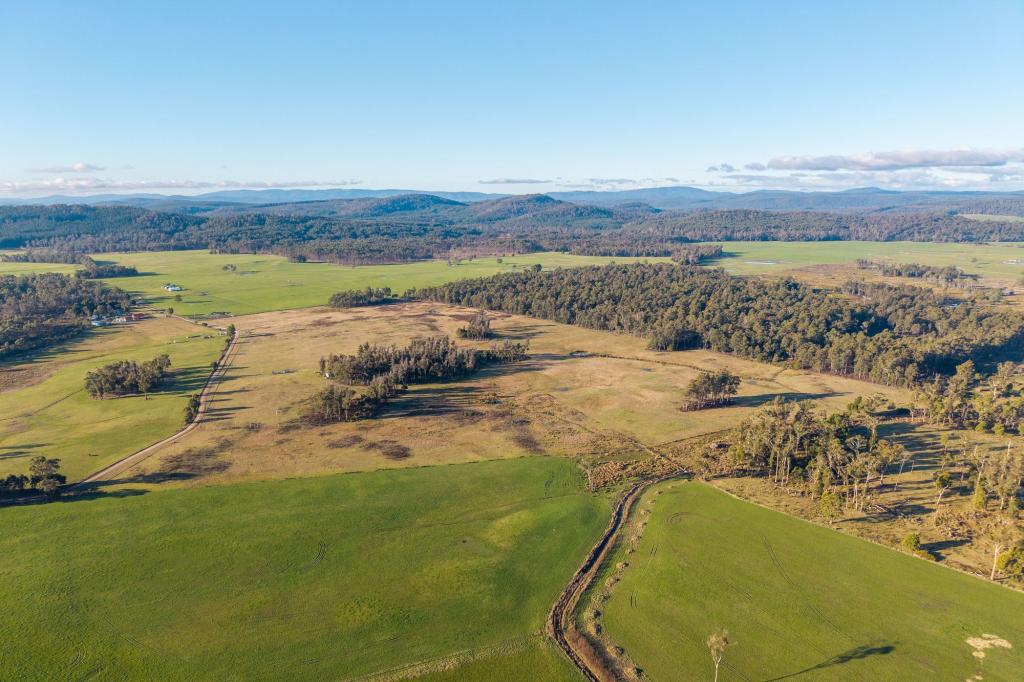 300 Felmingham Rd, Parkham, TAS 7304