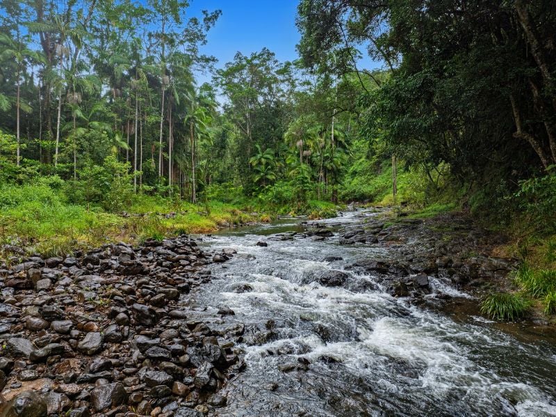 675 Terania Creek Rd, The Channon, NSW 2480