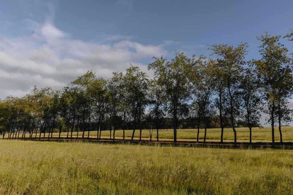 Springfield Farm, Yallingup, WA 6282