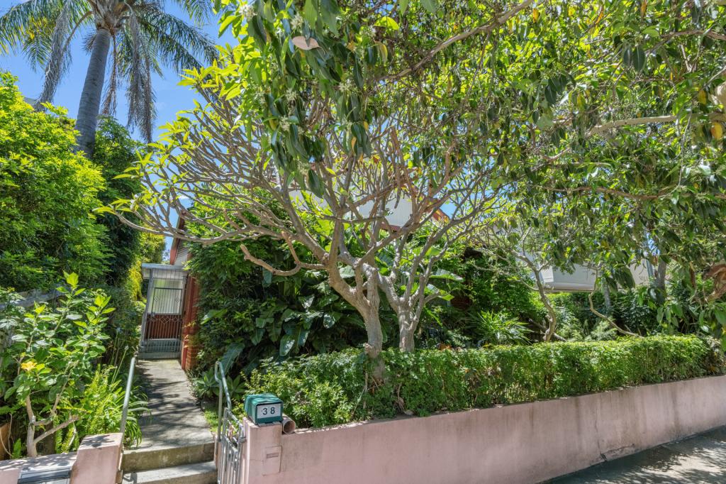 38 DOVER RD, ROSE BAY, NSW 2029