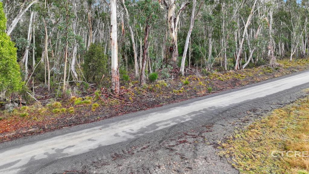 955 Bendoc-Orbost Rd, Bendoc, VIC 3888