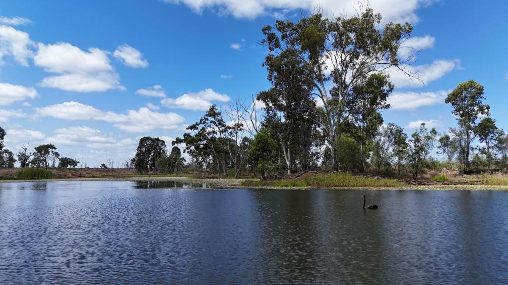 781 SPRING CREEK RD, COPPABELLA, QLD 4741