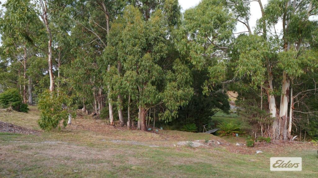 156 SOUTH RD, PENGUIN, TAS 7316