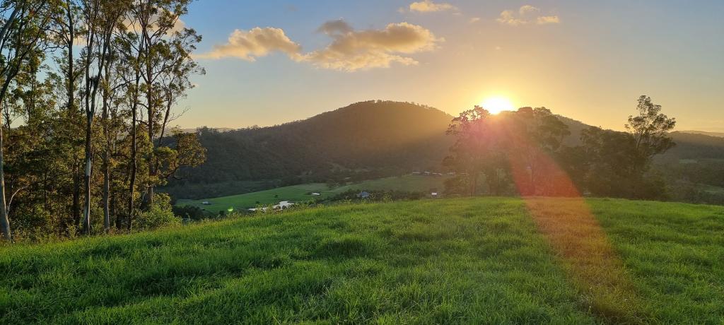 237 Norwood Lane, Mount George, NSW 2424