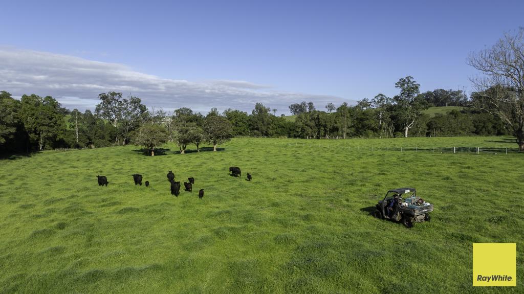 367 Terreel Rd, Wards River, NSW 2422
