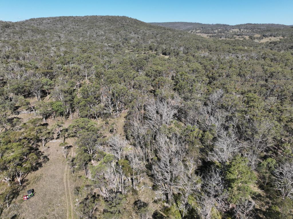 LOT 2 YARRAFORD RD, DUNDEE, NSW 2370