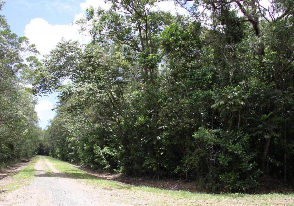 Lot 192 Cedar Road, Cow Bay, Daintree, QLD 4873