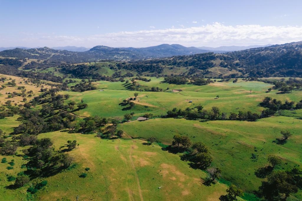 7390 New England Hwy, Willow Tree, NSW 2339