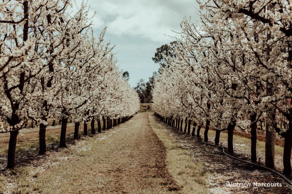 176 Chevin Rd, Roleystone, WA 6111