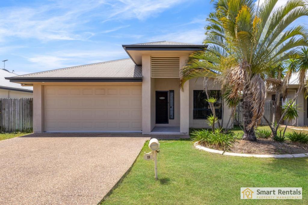 12 Gillingham Ct, Kirwan, QLD 4817