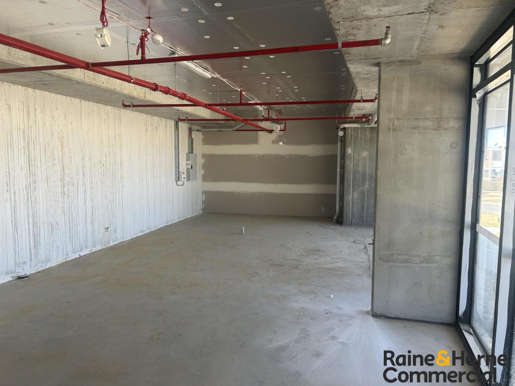 13/76 Steve Irwin Ave, Wright, ACT 2611