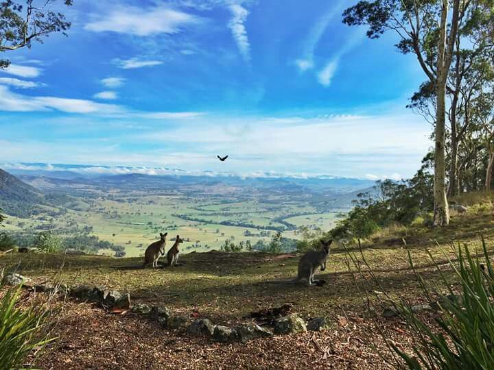 Contact Agent For Address, Vacy, NSW 2421