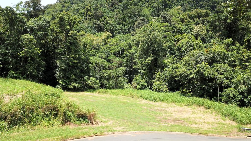 65 - 67 Cascades Dr, Redlynch, QLD 4870