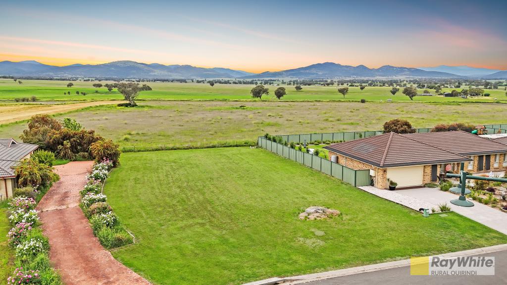 19 Morning View Cl, Quirindi, NSW 2343