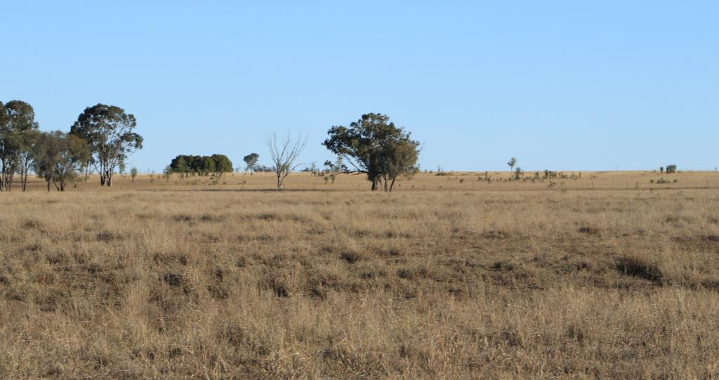 47 Euthulla Rd, Roma, QLD 4455