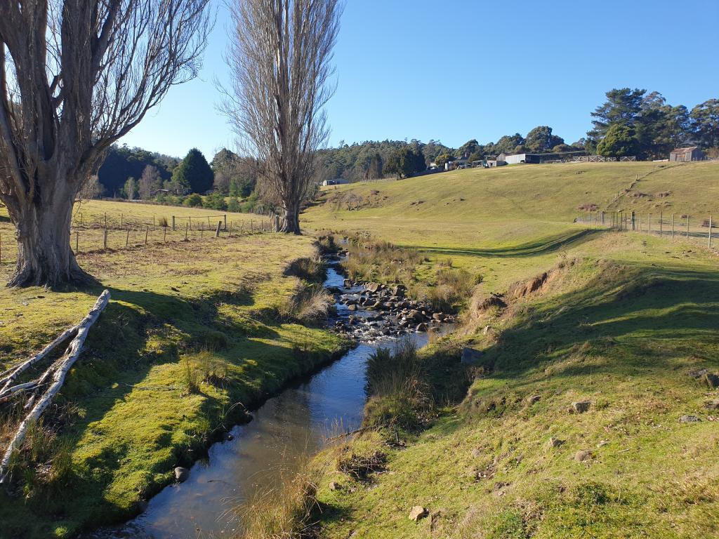 Lot 1 Pelverata Rd, Pelverata, TAS 7150