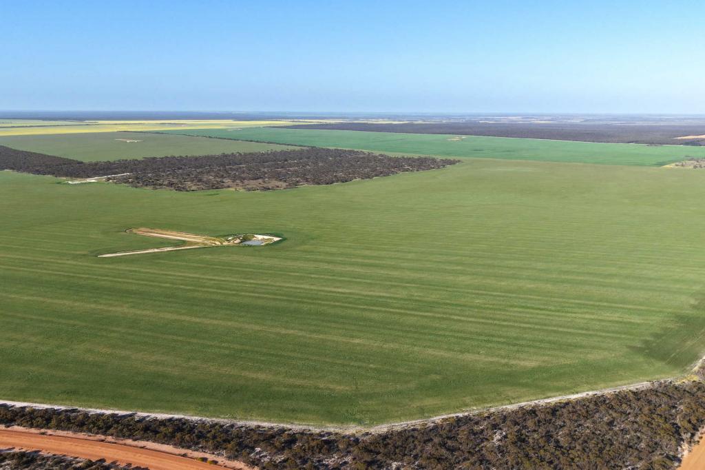 1663 Lake North Rd, West Fitzgerald, WA 6337