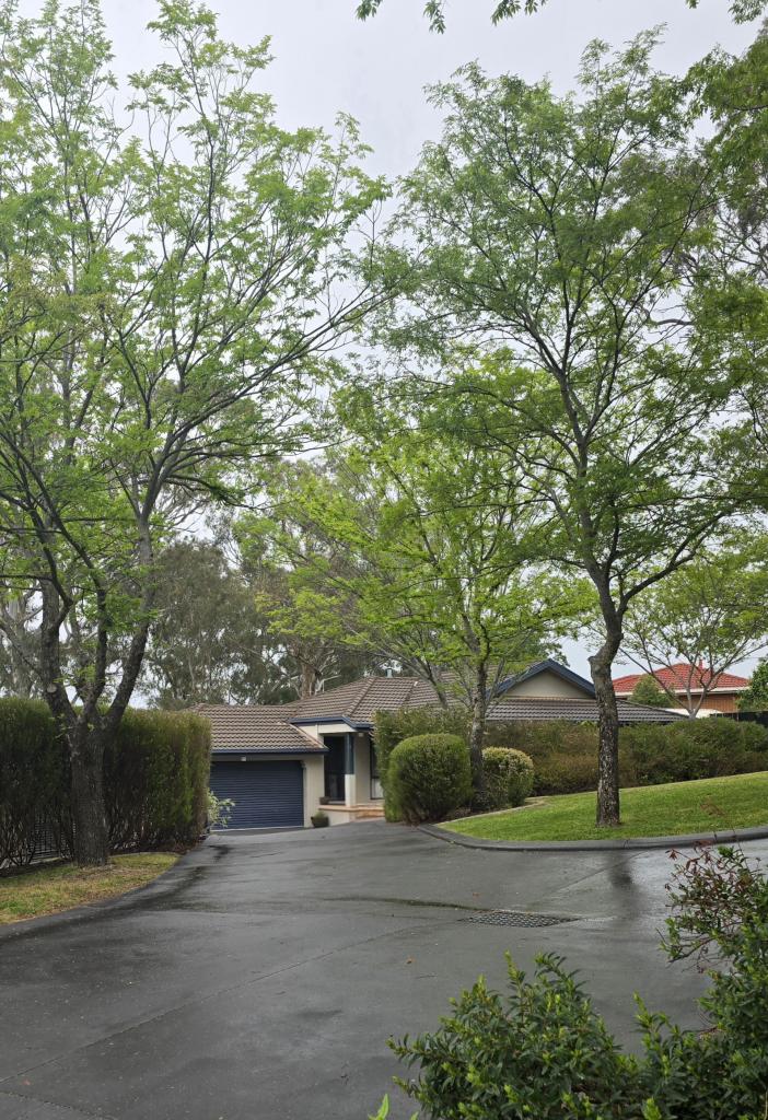 2/34 Proserpine Cct, Amaroo, ACT 2914