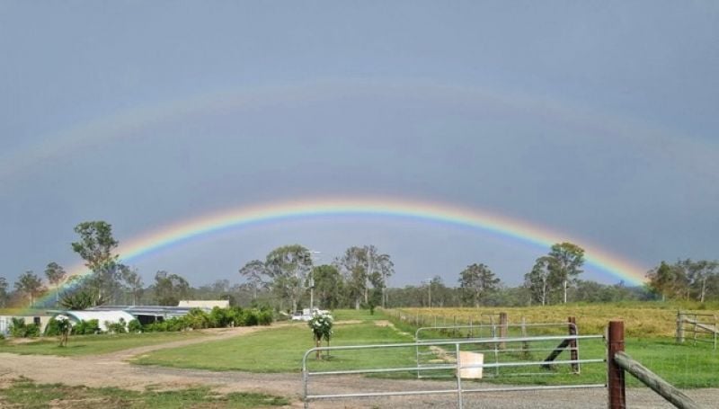 594 PROMISEDLAND RD, PROMISEDLAND, QLD 4660