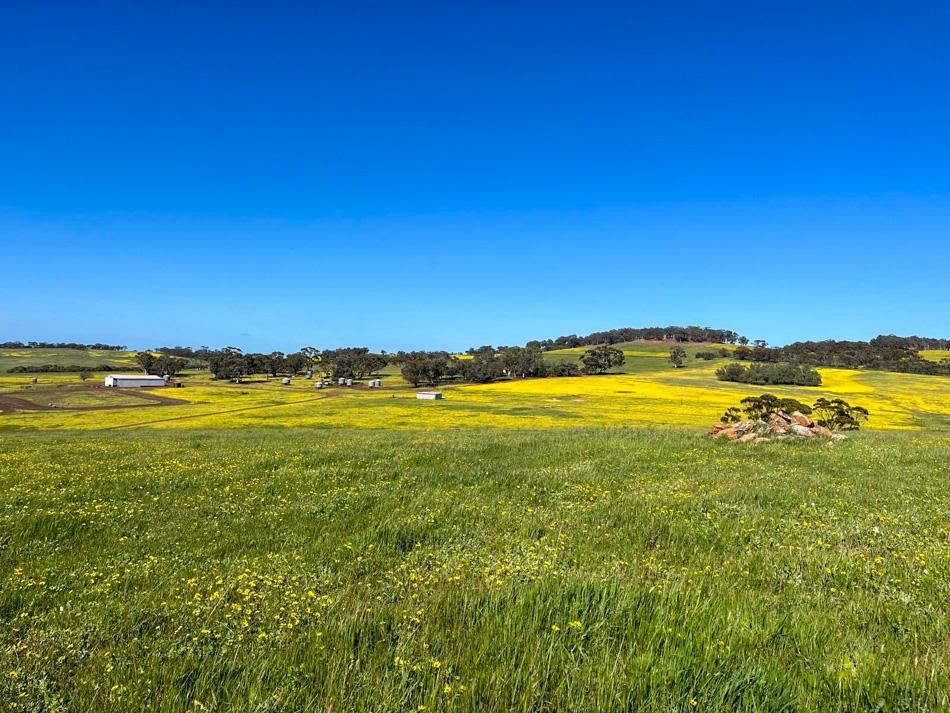 400 BALGALING RD, COONDLE, WA 6566