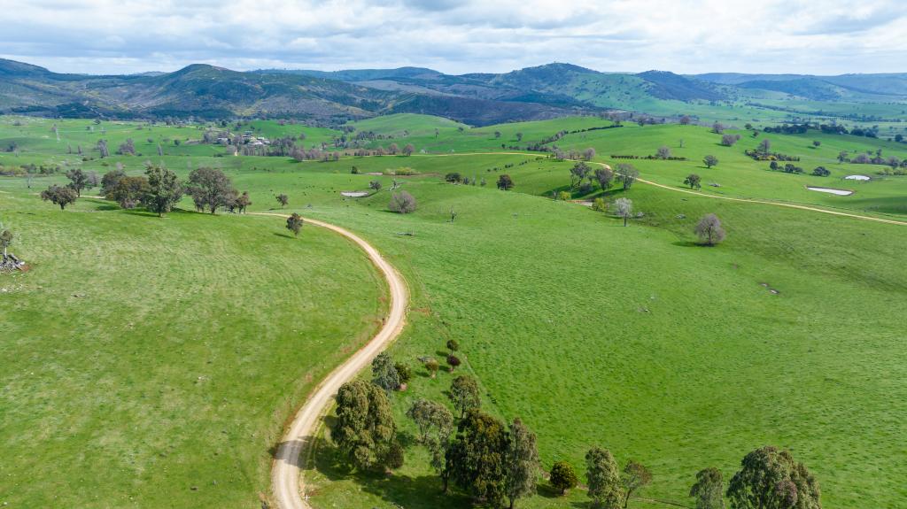 Homestead 242 Back Nacki Creek Rd, Sharps Creek, NSW 2729