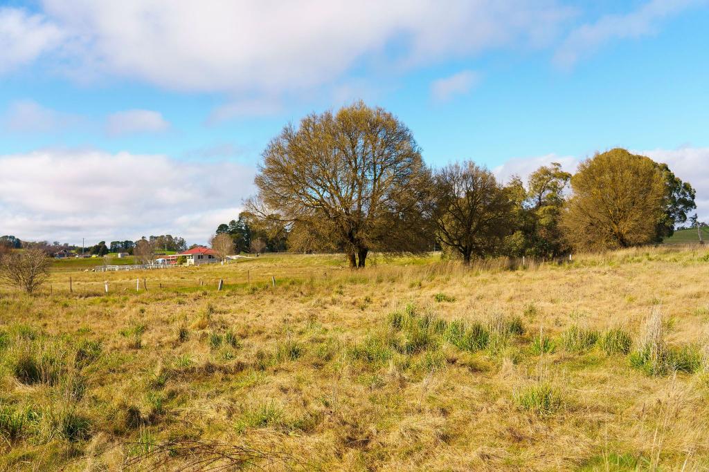 2 Bathurst Street & 39 - 41 Crouch Street, Neville Via, Blayney, NSW 2799