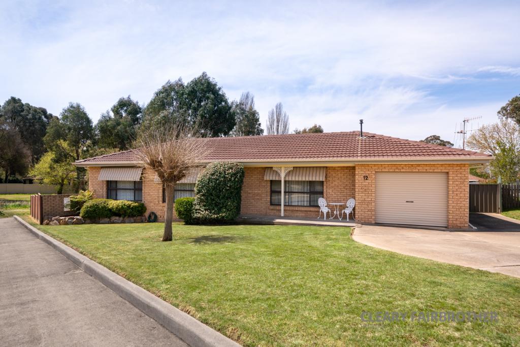 12 Willman Pl, South Bathurst, NSW 2795