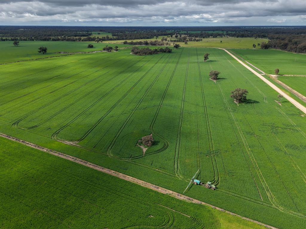 391 Boxdale Rd, Calimo, NSW 2710