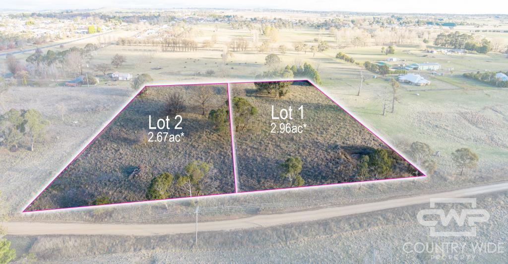 Lot 2 Tuckeys Lane, Guyra, NSW 2365