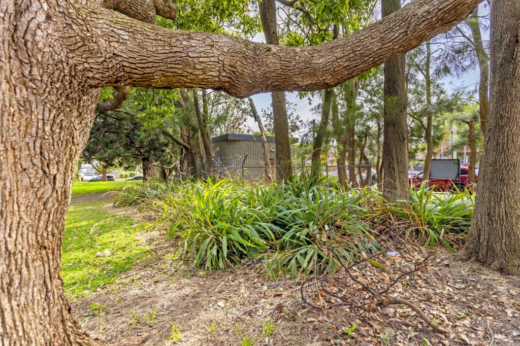 66 Griffin Rd, North Curl Curl, NSW 2099