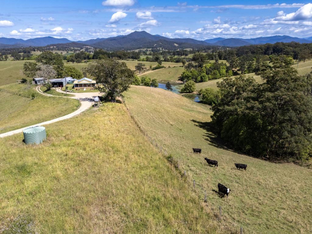 221 Lower Buckra Bendinni Rd, Buckra Bendinni, NSW 2449