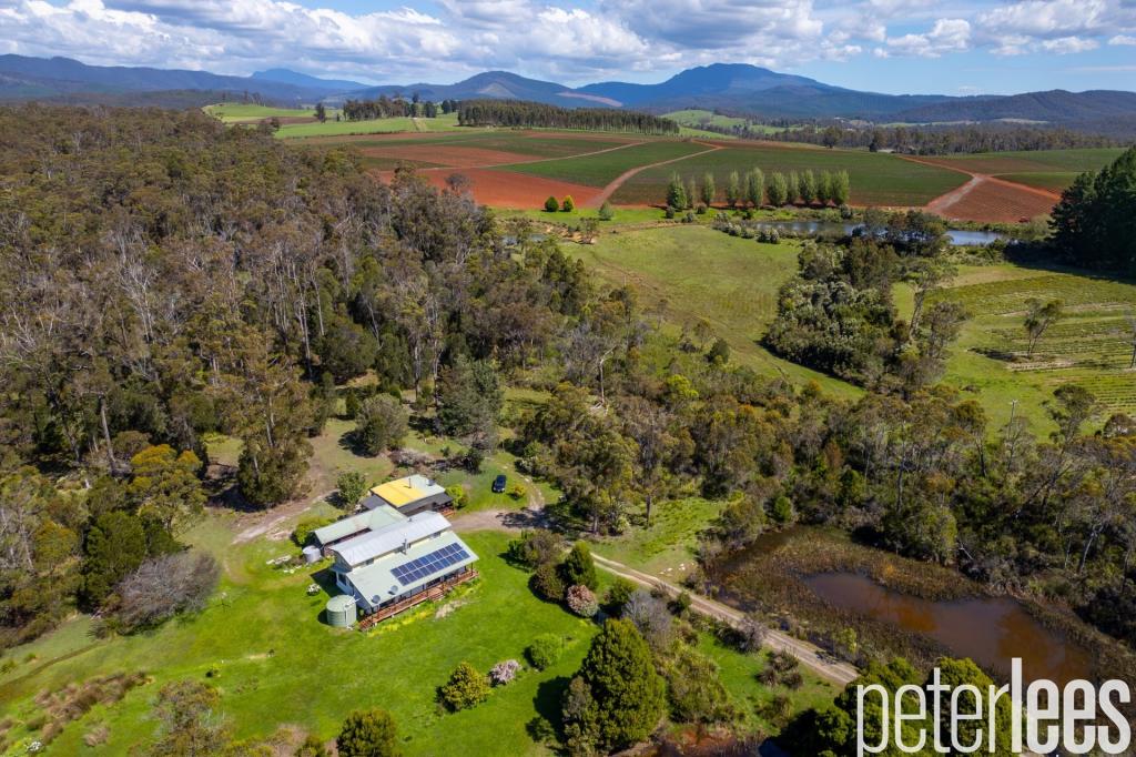 338 Gillespies Rd, Nabowla, TAS 7260