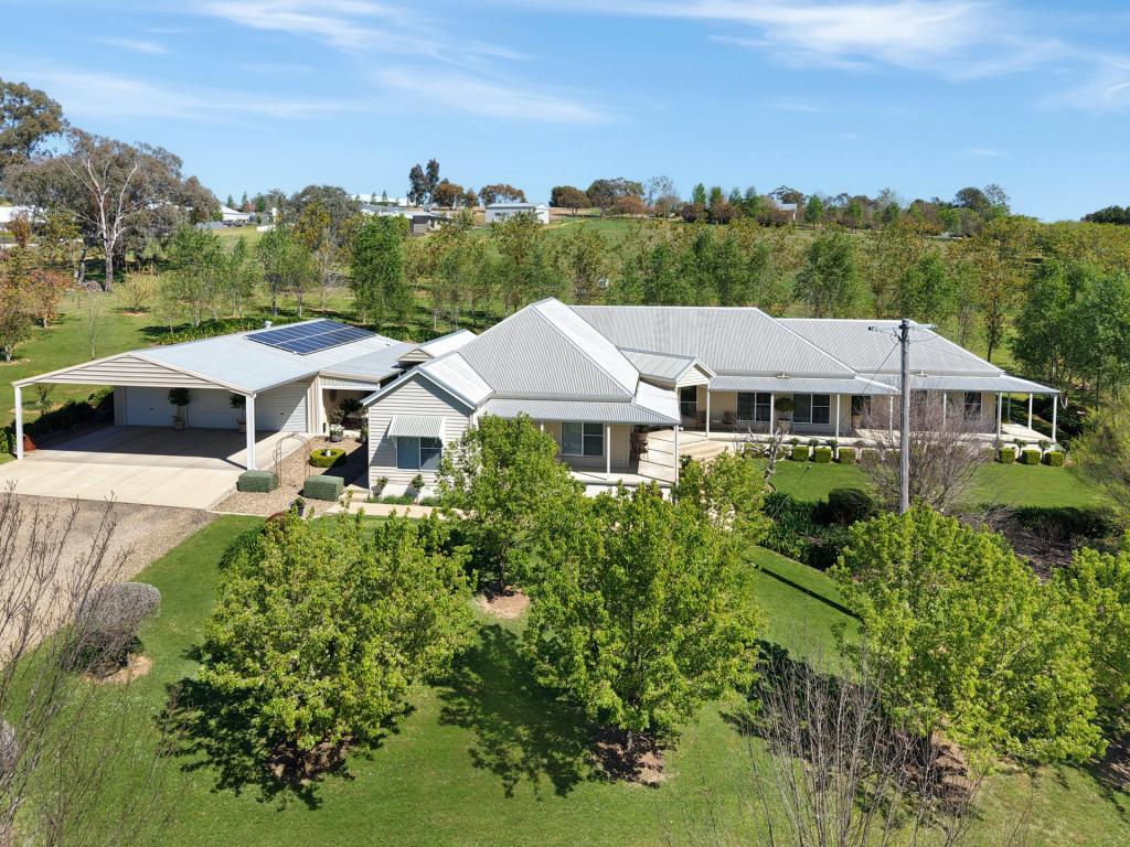 1335 Kingsvale Rd, Young, NSW 2594