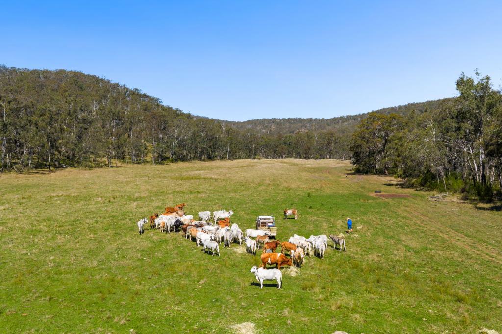 'Yabragunyah' Pilton Valley Rd, Upper Pilton, QLD 4361