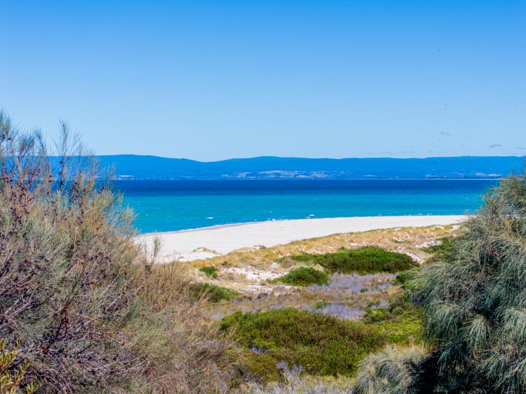 4 Sandbar Pl, Coles Bay, TAS 7215