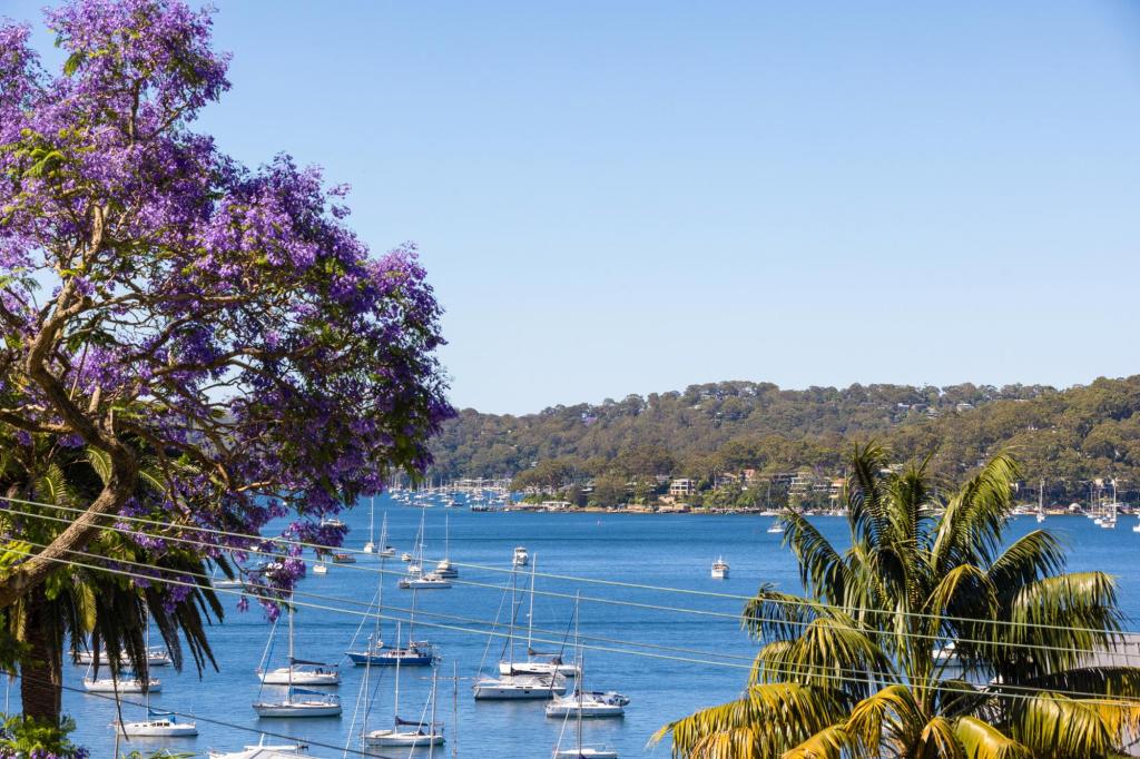 19 BAKERS RD, CHURCH POINT, NSW 2105