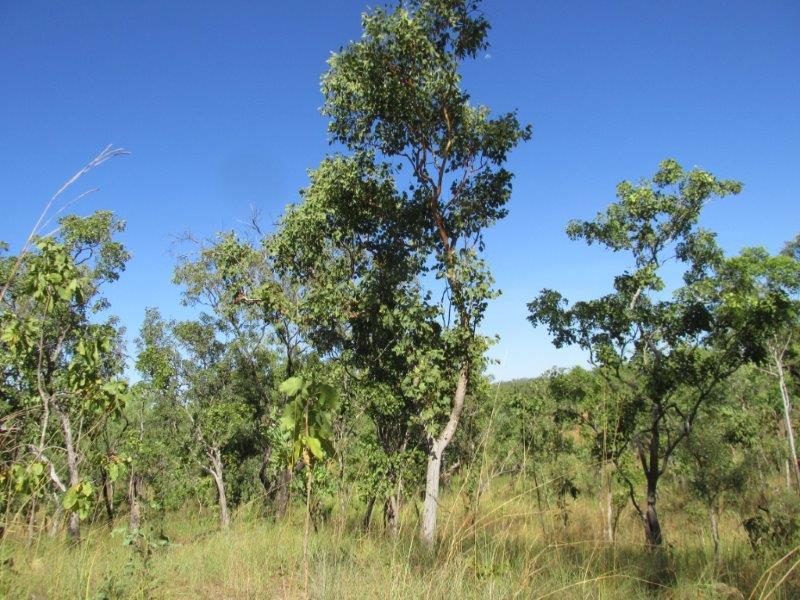 Contact Agent For Address, Adelaide River, NT 0846