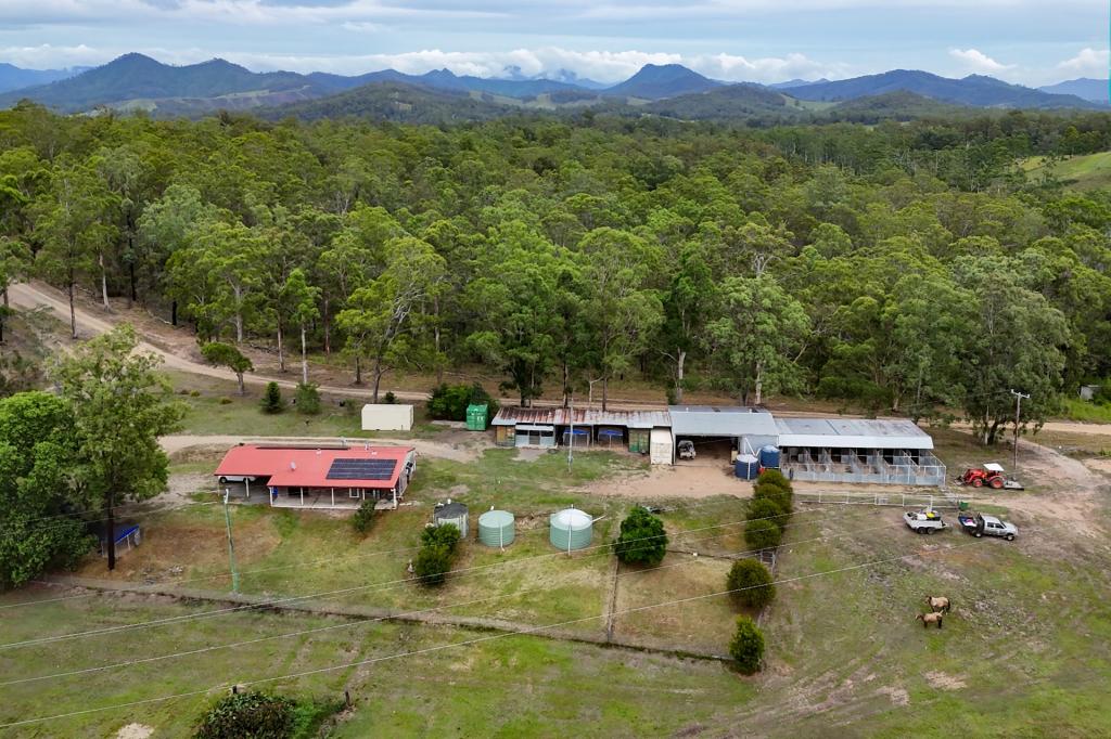 12 Wilsons Lane, Hickeys Creek, NSW 2440