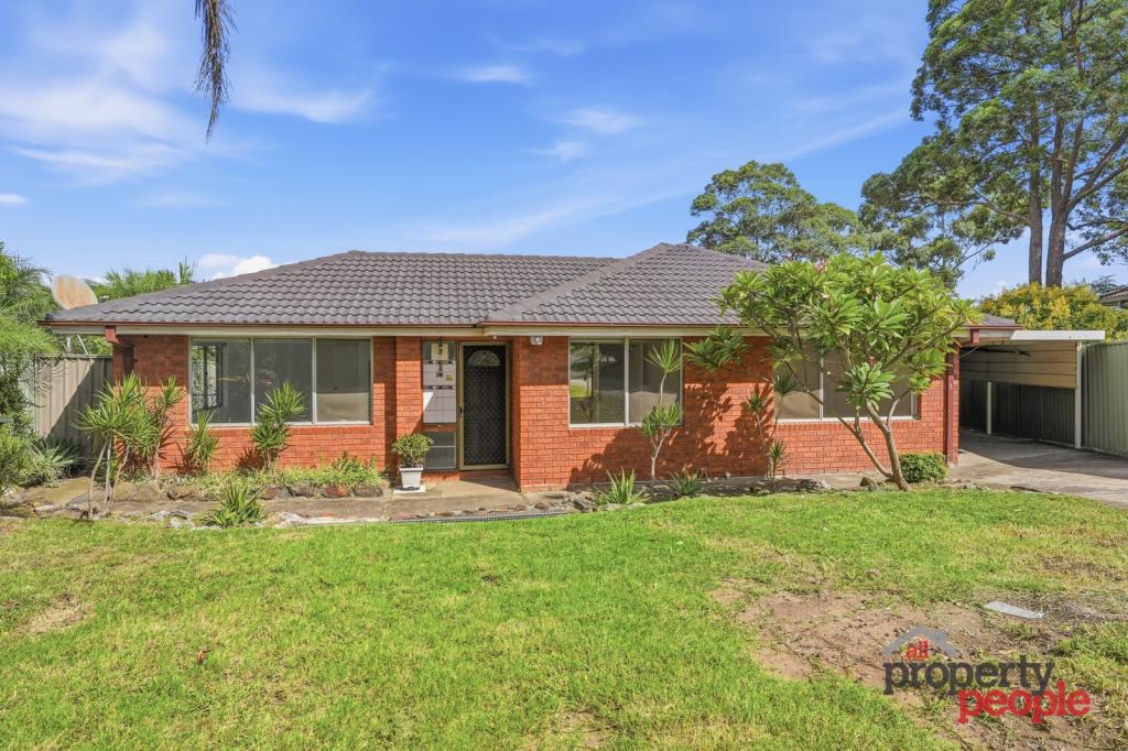 4 Sherack Pl, Minto, NSW 2566
