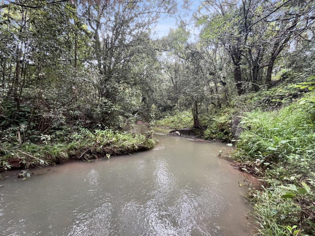 Contact Agent For Address, Tarzali, QLD 4885