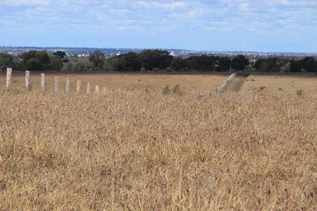 Contact agent for address, ROMA, QLD 4455