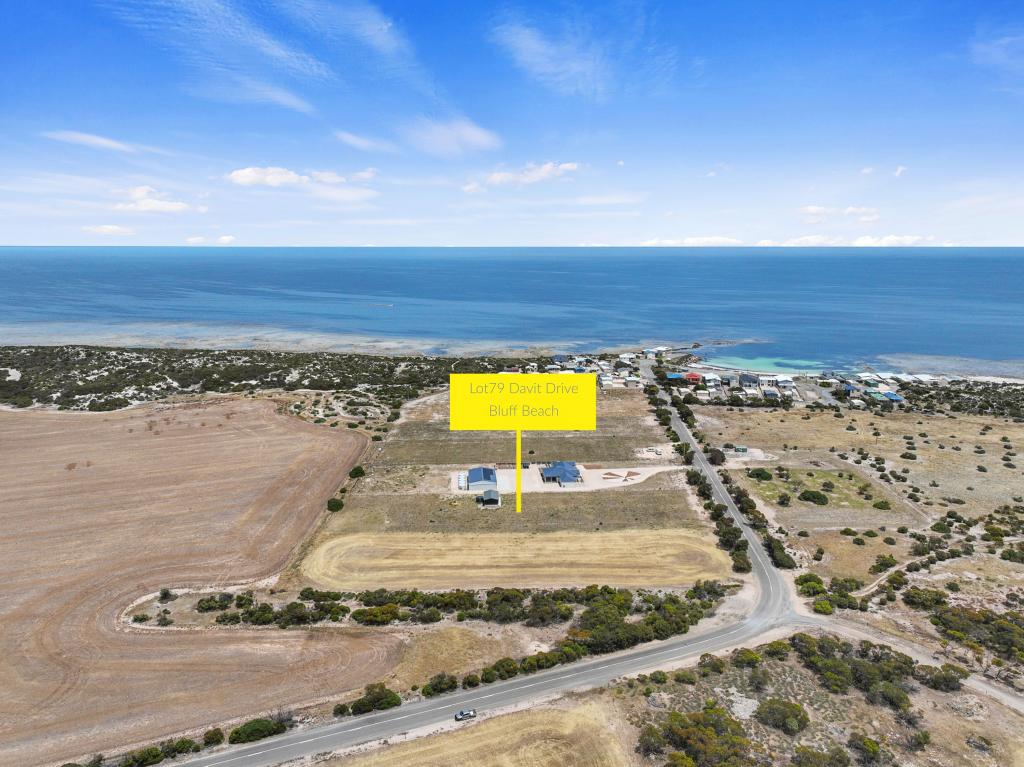 79 Davit Dr, Bluff Beach, SA 5575
