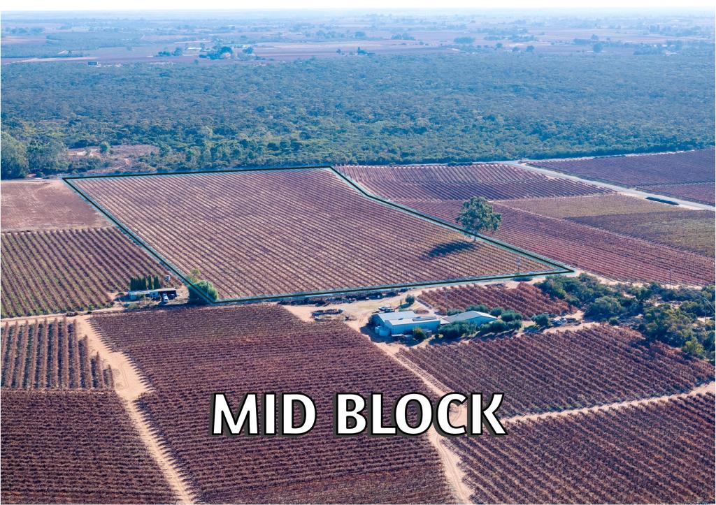 Lt 192 Puddletown Rd, Winkie, SA 5343