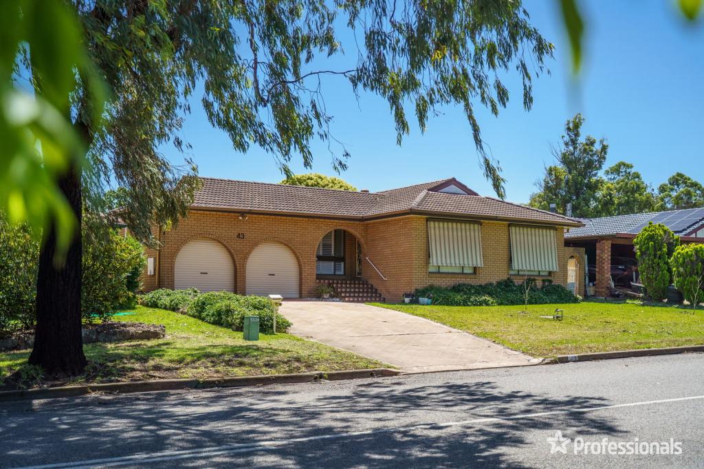 43 Shiraz St, Muswellbrook, NSW 2333
