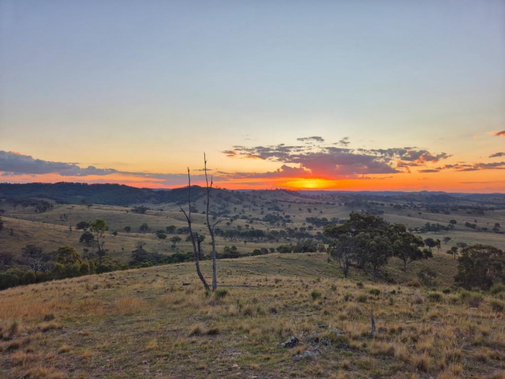 1887 Queens Pinch Rd, Meroo, NSW 2850