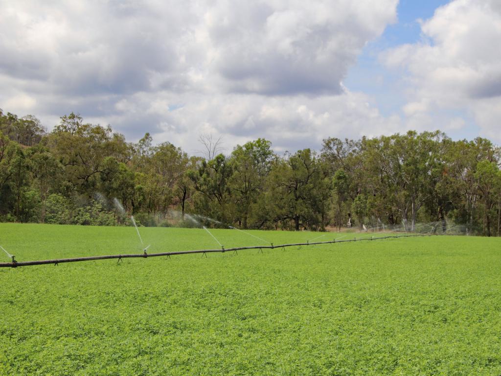 "Hadley" 83 Dooloo Tops Rd, Monal, QLD 4630