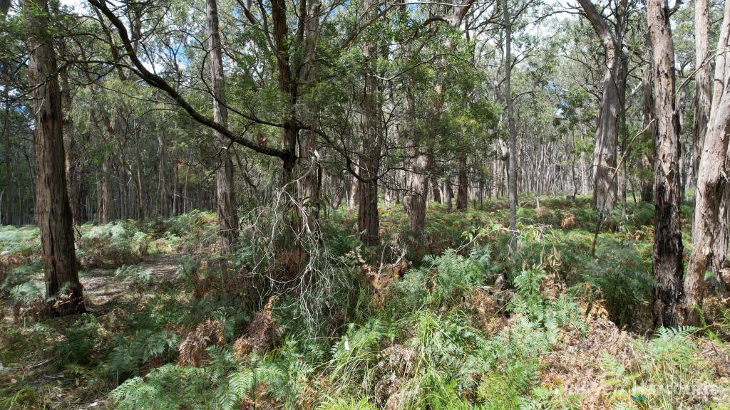 "Myamyn East" Triggers Rd, Myamyn, VIC 3304