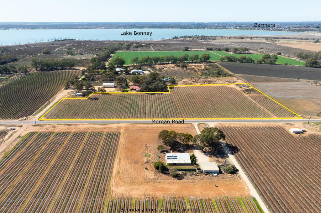 Lot 1 Morgan Rd, Barmera, SA 5345