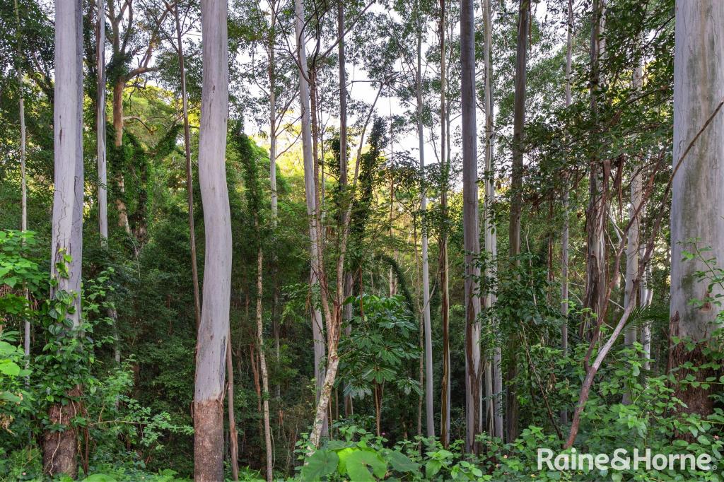 138 Tallgum Ave, Doonan, QLD 4562